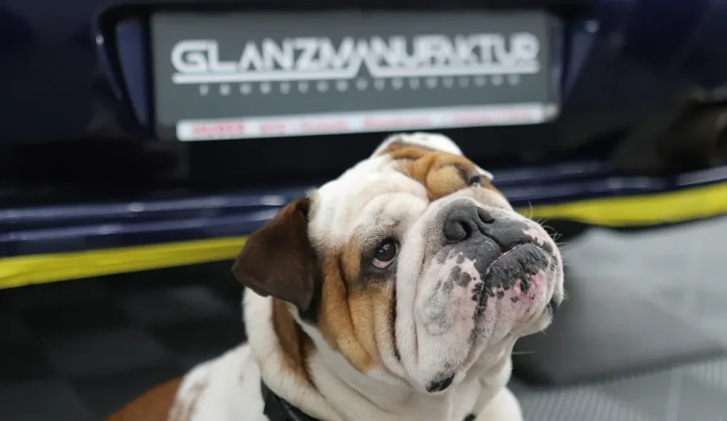 Kontakt & Terminvereinbarung